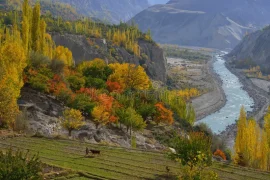 North Adventure Tour- Hunza Valley and Fairy Meadows