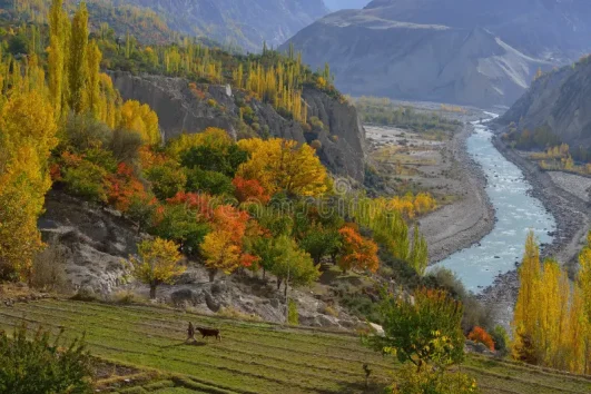 North Adventure Tour- Hunza Valley and Fairy Meadows